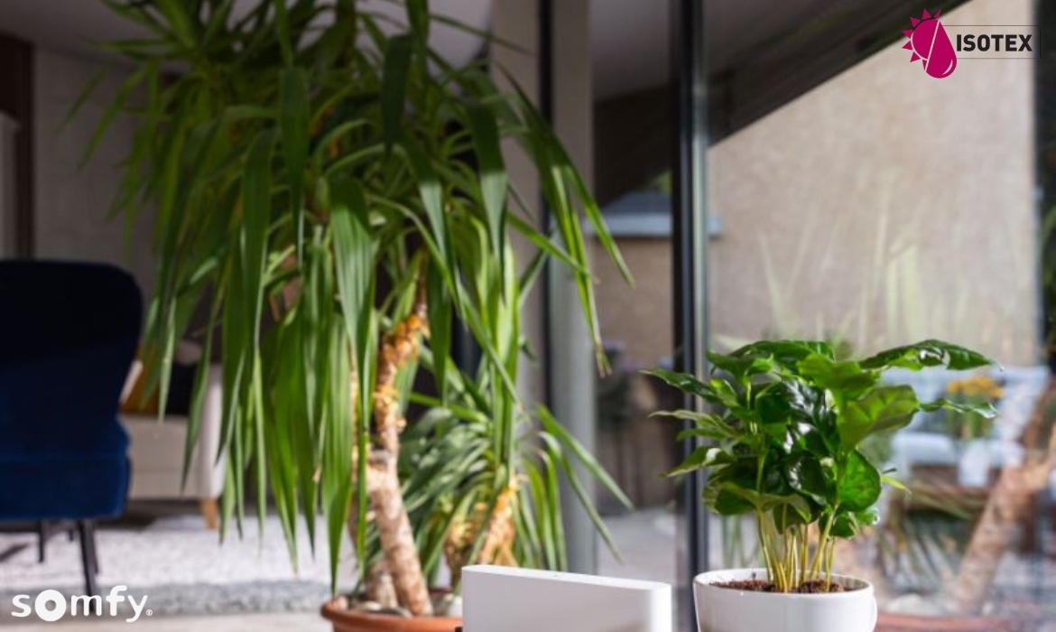 Volet roulant solaire sur mesure : la solution idéale pour rénover votre maison en Isère