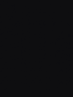 Noir RAL 9005